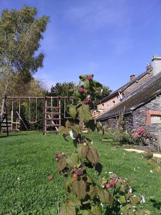 Gite Les 7 Frenes Vaux-sur-Sure エクステリア 写真