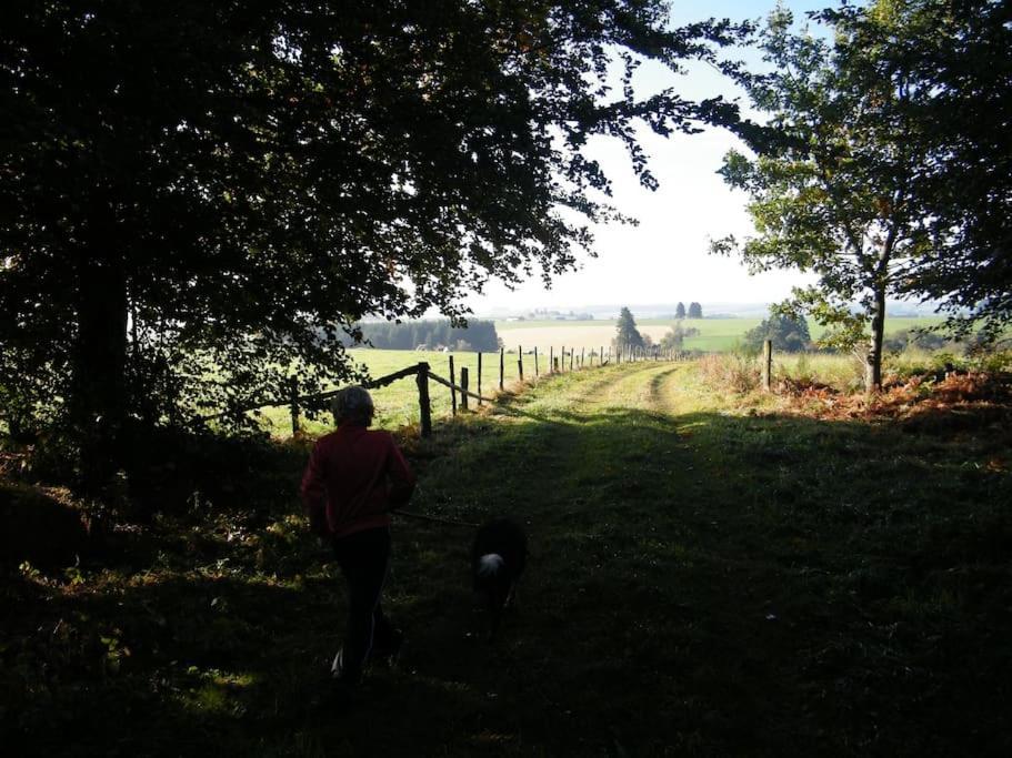 Gite Les 7 Frenes Vaux-sur-Sure エクステリア 写真