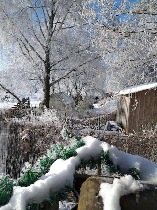 Gite Les 7 Frenes Vaux-sur-Sure エクステリア 写真